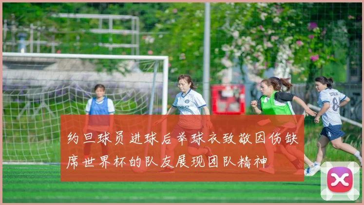 约旦球员进球后举球衣致敬因伤缺席世界杯的队友展现团队精神